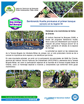 Boletin bosque sonoro