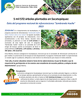 5 mil 572 arboles plantados en Sacatepequez 1