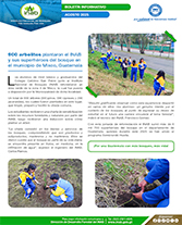 PORTADA WEB   Boletín SH pablo 8