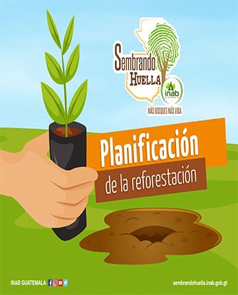 p5 Planificación de reforestación 1