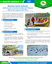 PORTADA WEB Boletín Pino SS