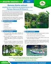PORTADA WEB Boletín Rosario SS