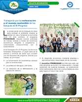 PORTADA WEB Boletín restauración el progreso