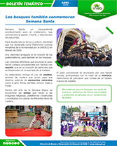 PORTADA WEB Boletín semana santa