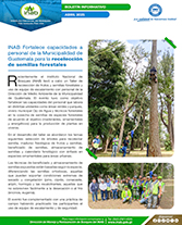 PORTADA WEB Boletín taller semillas