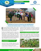 Portada web
