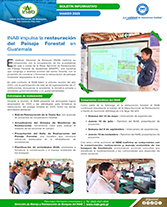PORTADA WEB Boletín mesa de restauración