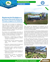 PORTADA WEB Boletín pacaya